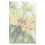 Perfection - Black Eyed Susan Custom Stationery