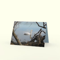 Perfection cards by MoiraAshleigh Perfection cards
