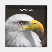 Perfection Fridge Magnets