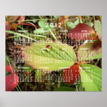 Perfection in Droplet Form; 2012 Calendar Poster