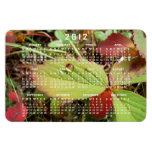 Perfection in Droplet Form; 2012 Calendar Vinyl Magnet