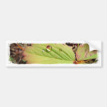 Perfection in Droplet Form Bumper Sticker