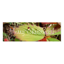 Perfection in Droplet Form; Merry Christmas Business Card Templates