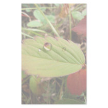 Perfection in Droplet Form Personalized Stationery