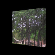 Perfection canvas prints
