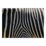 Perfectly Zebra Print Greeting Cards