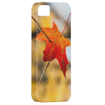 perforado en otoño iPhone 5 funda