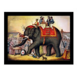 Performing elephant post cards