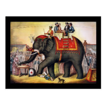 Performing elephant post cards