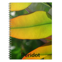 Peridot notebooks