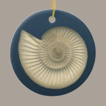 Perisphinctes Ammonite fossil ornaments