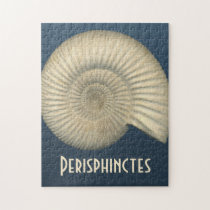 Perisphinctes Ammonite Fossil puzzles