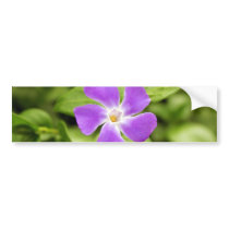 Periwinkle Bumper Stickers