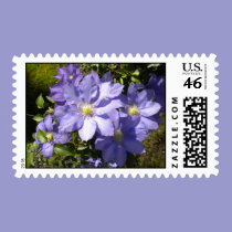 Periwinkle Clematis Flowers Postage Stamp stamps