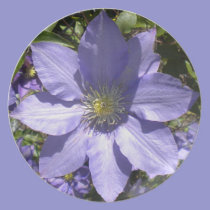 Periwinkle Clematis Plate plates