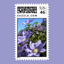 Periwinkle Clematis postage stamps