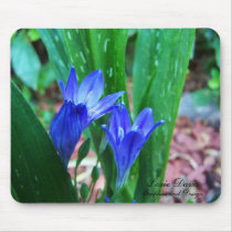 Periwinkle flowers painted, mousepads