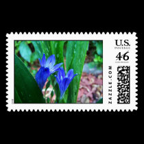 Periwinkle flowers stamps