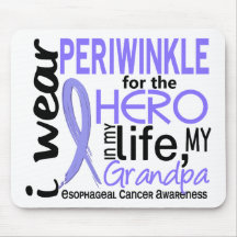 Periwinkle For Hero 2 Grandpa Esophageal Cancer Mouse Pads