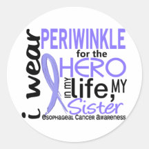 Periwinkle For Hero 2 Sister Esophageal Cancer Round Stickers