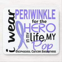 Periwinkle For Hero In Life Pop Esophageal Cancer Mouse Pads