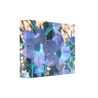 Periwinkle N Teal Nicotiana Wrapped Canvas wrappedcanvas