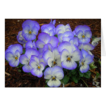 Periwinkle Pansies cards by minx267 Periwinkle Pansies cards