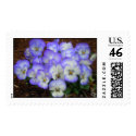 Periwinkle Pansies Postage postage by minx267 Periwinkle Pansies Postage postage