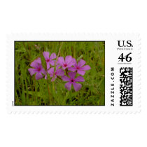 Periwinkles. stamps