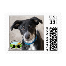Perky-Eared Puppy Postage Stamps