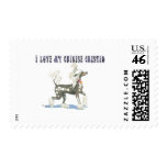 Perky Hairless Chinese Crested Dog Postage postage