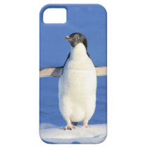 Perky Little Penguin casemate cases