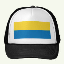 Click here to buy