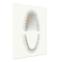 Permanent teeth adult dentition stretched canvas prints