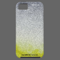 Permit Cell Phone Case casemate cases