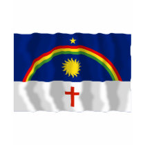 Pernambuco, Brazil Waving Flag t-shirts