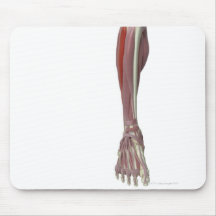 Peroneus Longus Mousepads