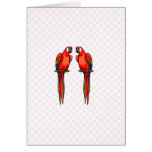 Perri & Perry Parrot Cards