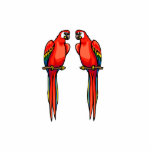 Perri & Perry Parrot Cut Outs