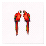 Perri & Perry Parrot Posters