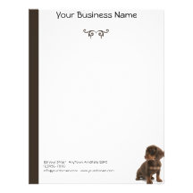 Perrito de Brown Daschund que se sienta en la dere Membretes Personalizados