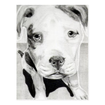 Perrito de Pitbull en el lápiz 2 de Jacob Grimm Tarjeta Postal