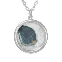 perrito del maxie pendiente