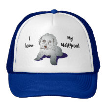 Perrito lindo de Maltipoo Gorra