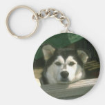 Perrito triste llavero