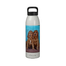Perritos de Irish Setter Botellas De Beber