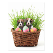 Perritos del boxeador de Pascua Tarjetas Postales