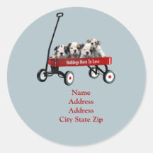 Perritos del dogo en etiqueta de dirección del car