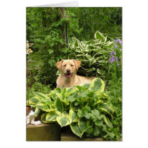 Perritos florecientes tarjetas