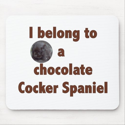 Perro de aguas de ChocolateCocker - �Dollface766 Tapetes De Ratón